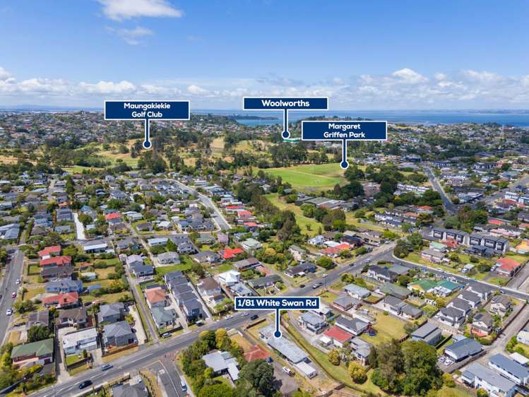 1/81 White Swan Road Mount Roskill_12