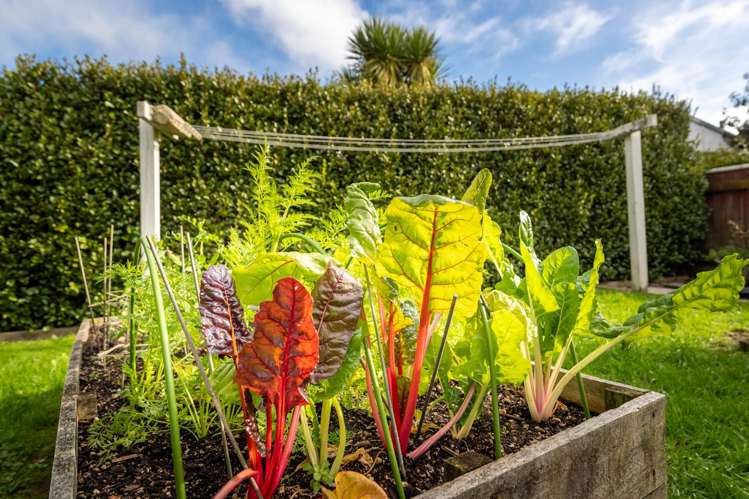 1/15 Benzie Avenue Wallaceville_14