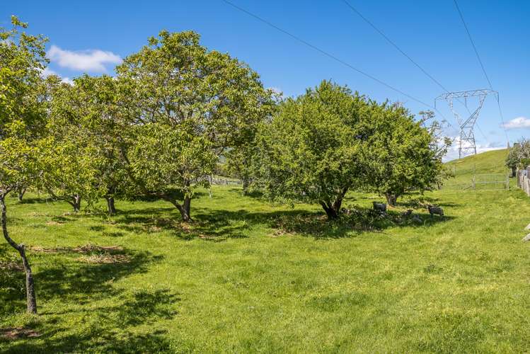 111 Peka Peka Road Peka Peka_6