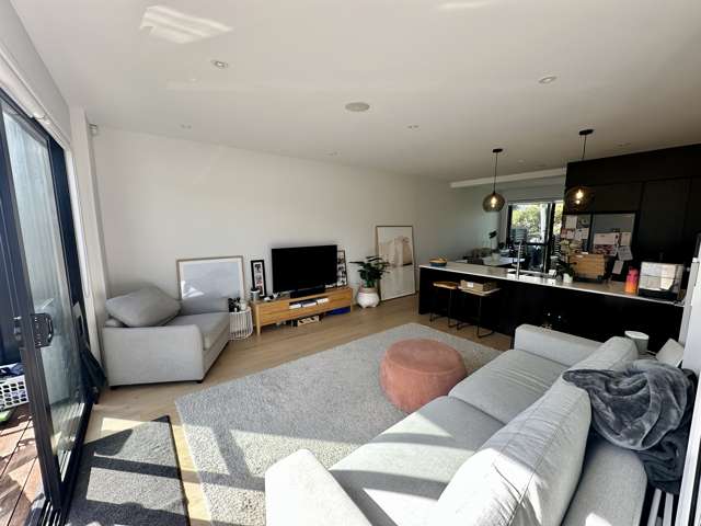 11 He Ana Way Mount Albert_3