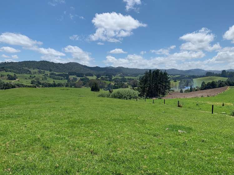 535 Omahuta Road Mangamuka_12