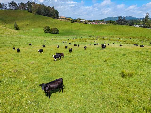 54 Harris Road Glenbervie_1