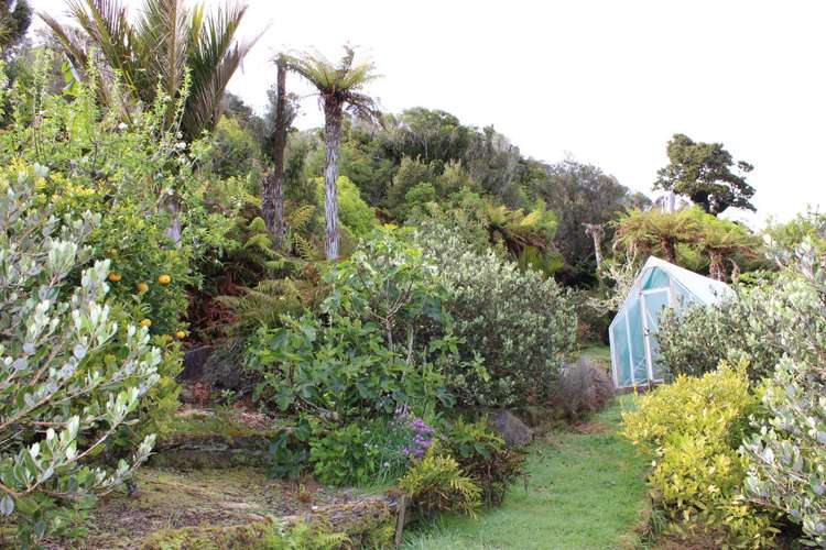 274 Wangapeka Road Kahurangi National Park_22