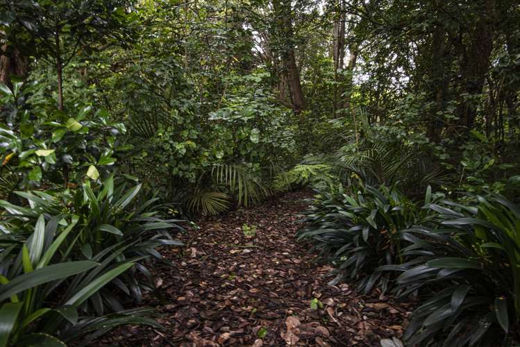 747a State Highway 14 Maunu_16