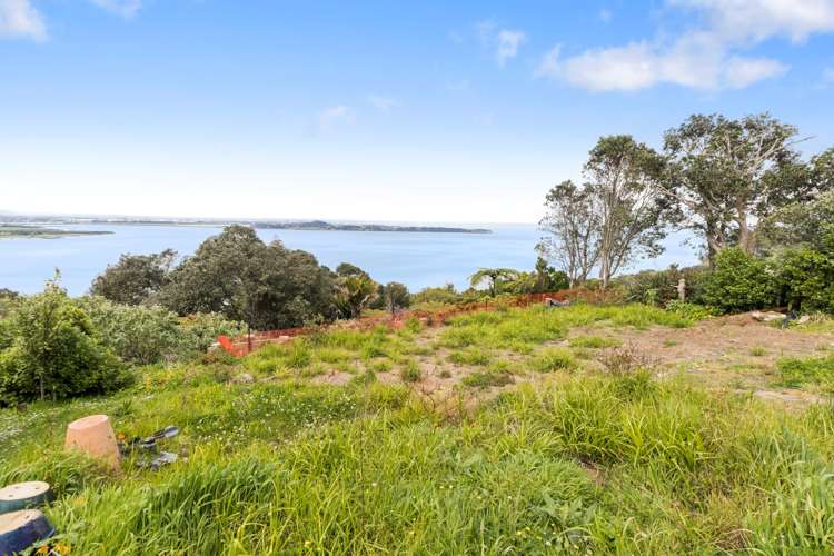 372a Hillsborough Road Hillsborough_9