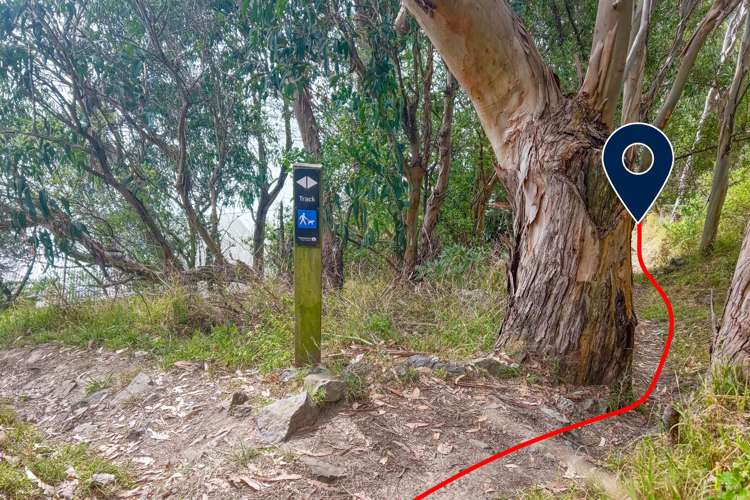 HB20 Boatshed Diamond Harbour_11