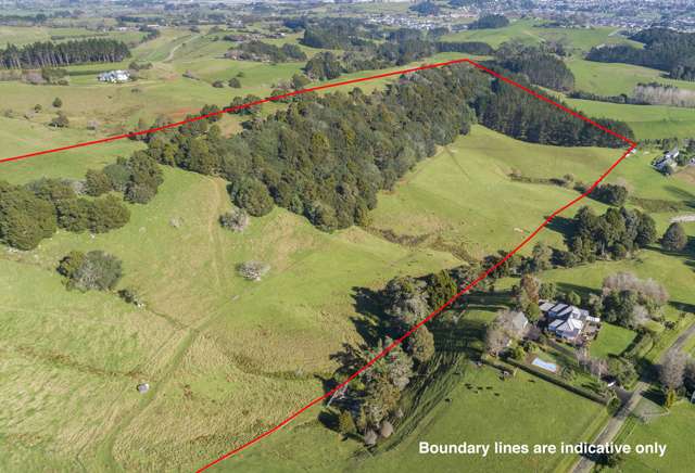 145b Runciman Road Pukekohe East_3