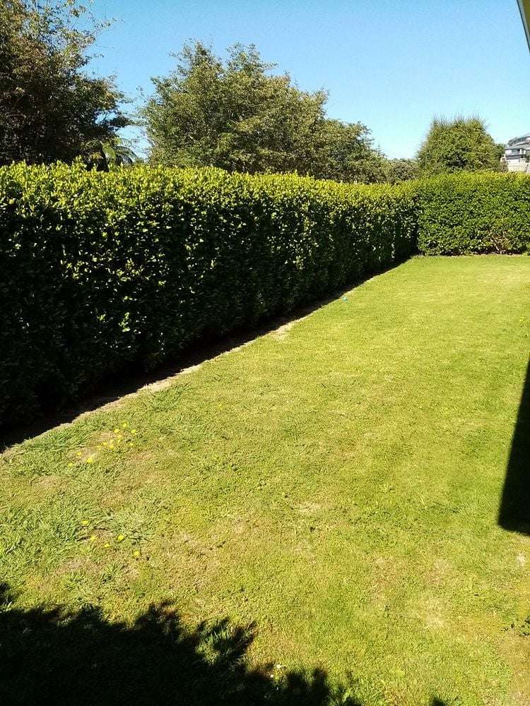 25 Rainsford Street Moturoa_9