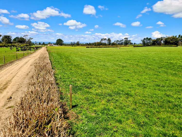 299 Cardiff Road Cardiff_21