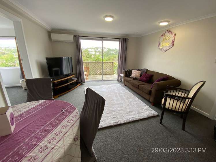 131 Ruskin Road Newlands_8