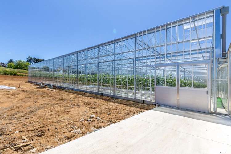 379 Razorback Road Pokeno_7