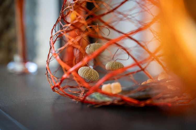 5/27 Beach Road Paekakariki_35