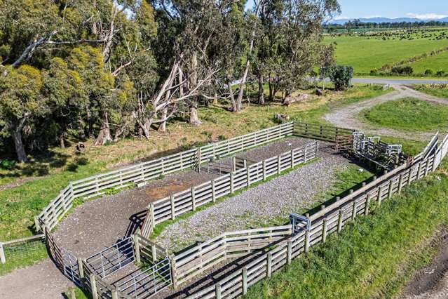 439 Dawsons Road Ashburton_2