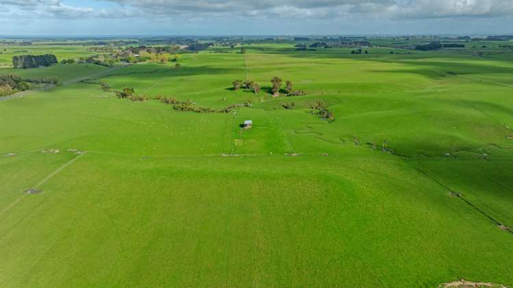 268 Wanganui Road Marton_5