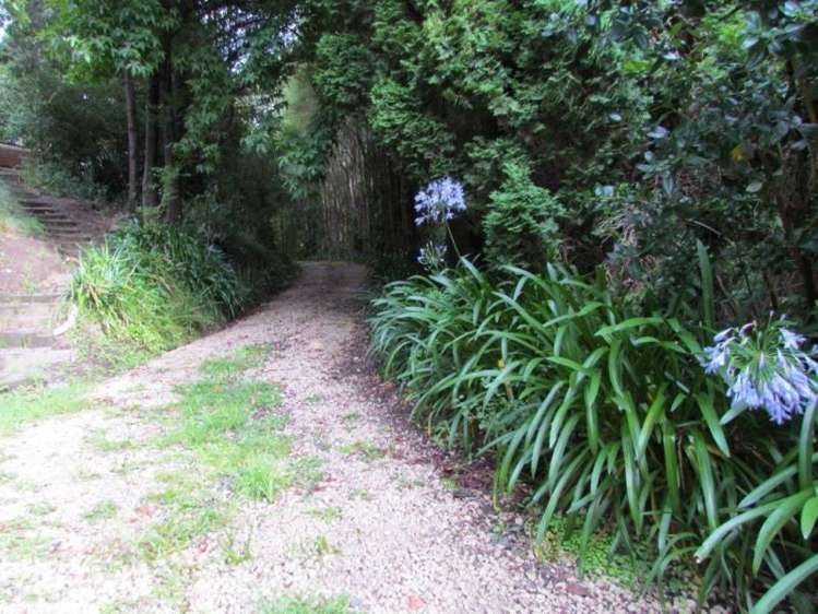 361 Bute Road Mangapakeha_20