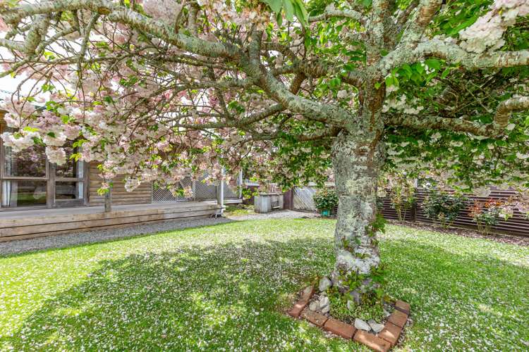 382 Kimberley Road Levin_17