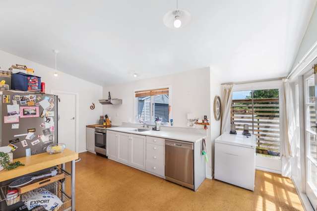 3 Normanby Street Rakaia Ashburton Rakaia_2