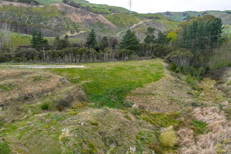 498 Seafield Road Puketapu_10