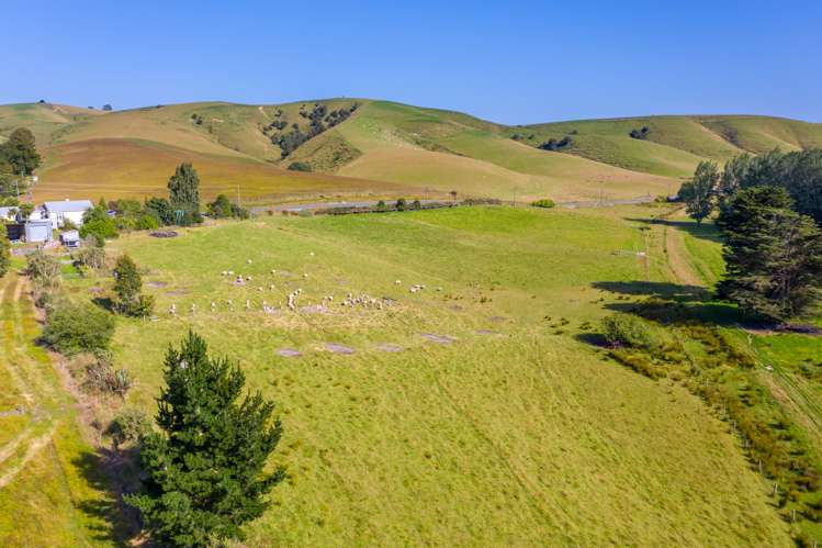 835 Lawrence Waitahuna Highway Waitahuna_7