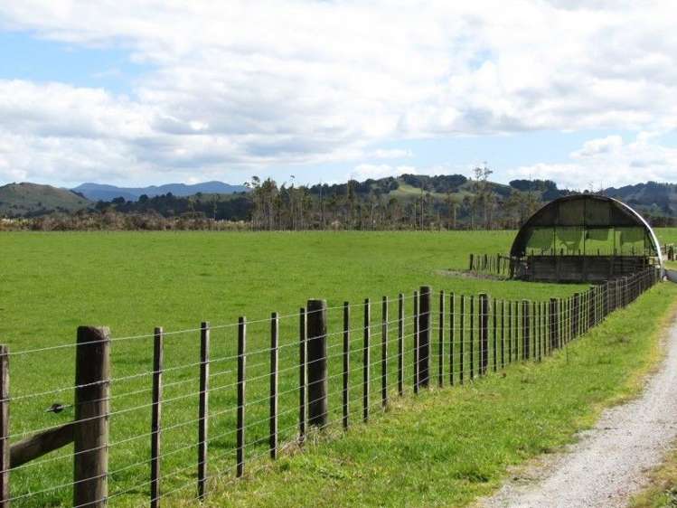 201 Rangiahua Road Horeke_16