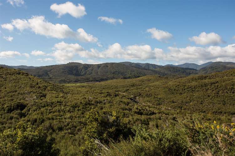 60 Snake Creek Road Kahurangi National Park_7