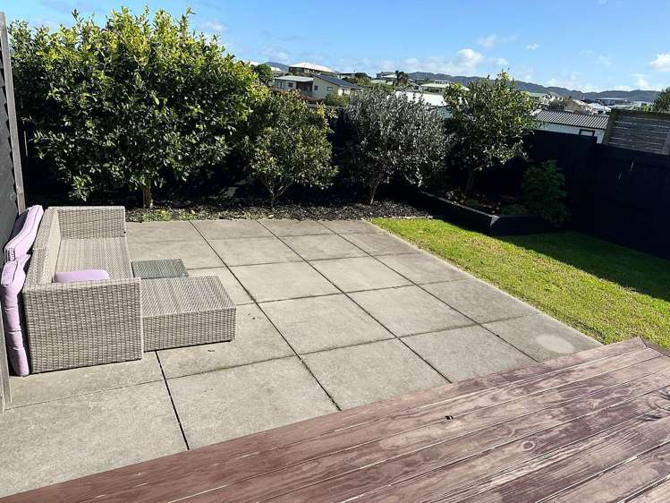 291 Molesworth Drive Mangawhai Heads_21