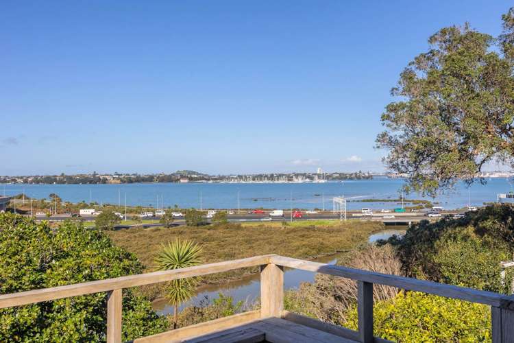 19 Waimana Avenue Northcote Point_28