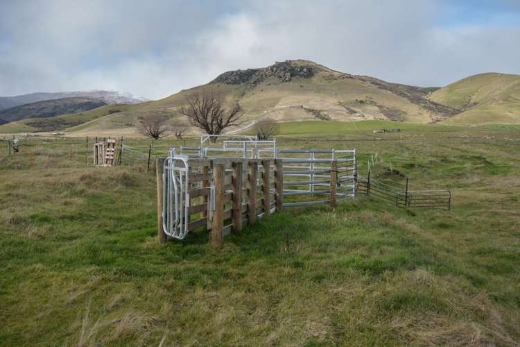 170 Ruffell Road Westland Surrounds_20