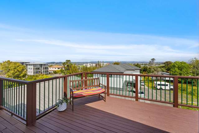 45 Roberton Road Avondale_4