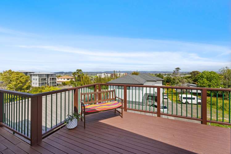 45 Roberton Road Avondale_3