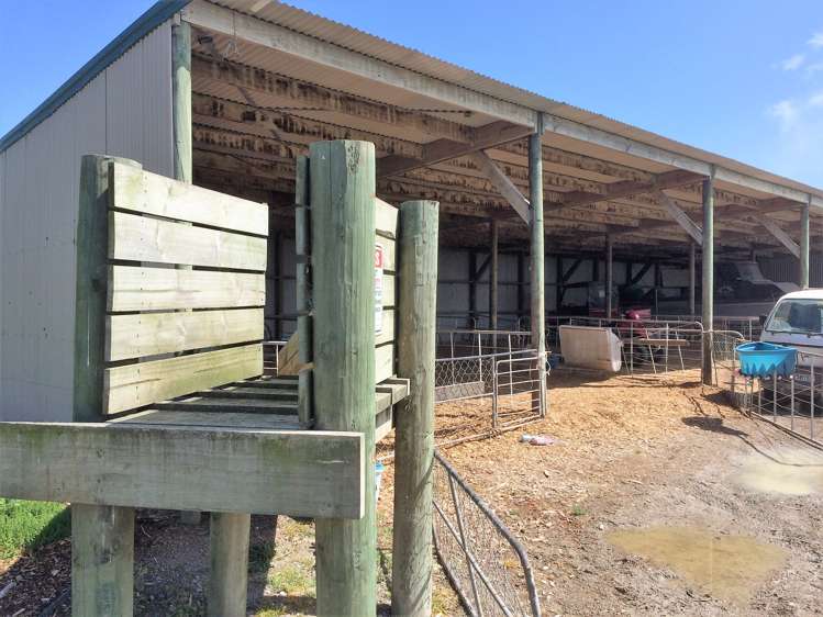 6036 State Highway 12 Arapohue_16