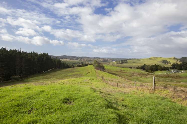 127a Oruawharo Road Topuni_5