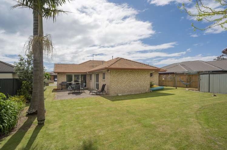 14 Francevic Ave Mt Maunganui_21