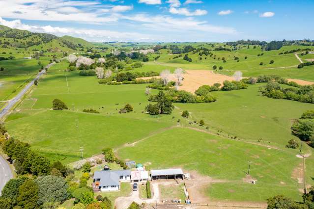 1027 Tangowahine Valley Road Dargaville Surrounds_1