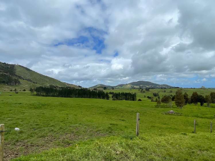 2288 Waihue Road Dargaville Surrounds_20