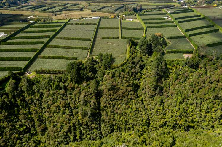 764b Te Matai Road Te Ranga_14