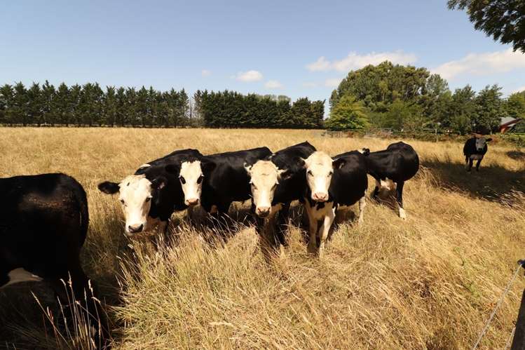 612 Lower Sefton Road Sefton_18