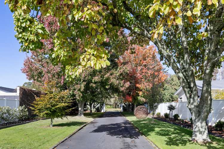 76 Princes Street Cambridge_39