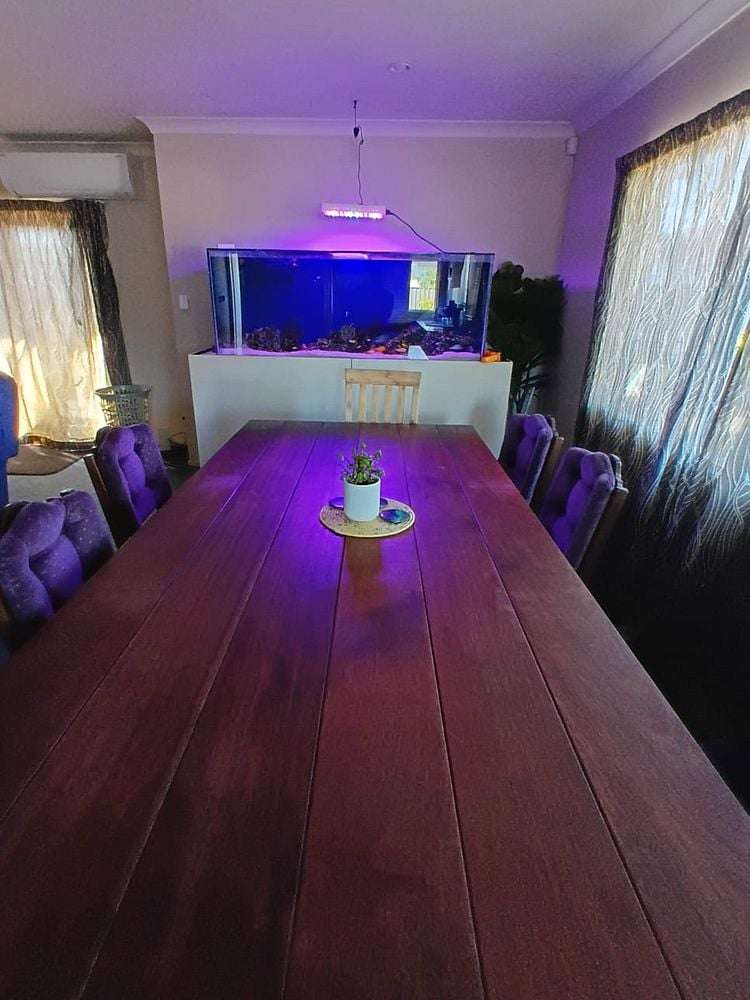 8A Merton Crescent Pirimai_4