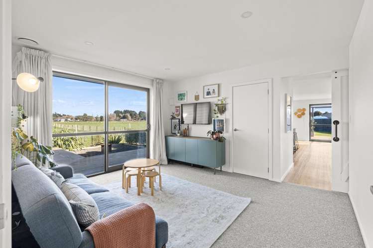 39 George Street Bulls_16