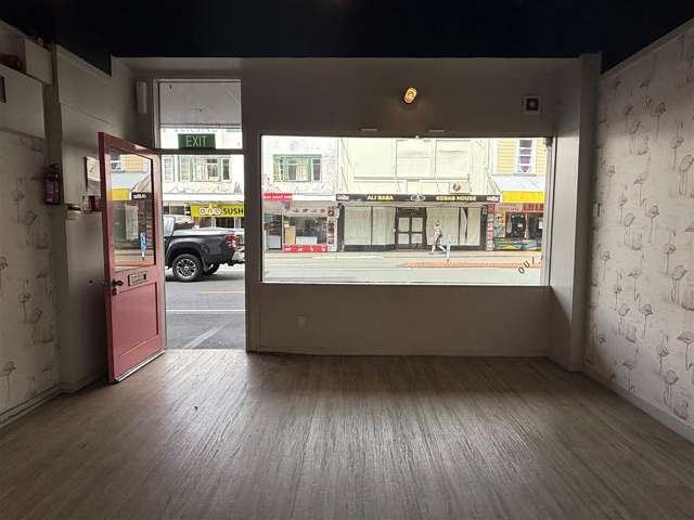 142 Riddiford Street Newtown_4