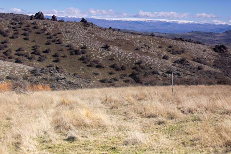 Ida Valley-Omakau Road Ophir Omakau_22