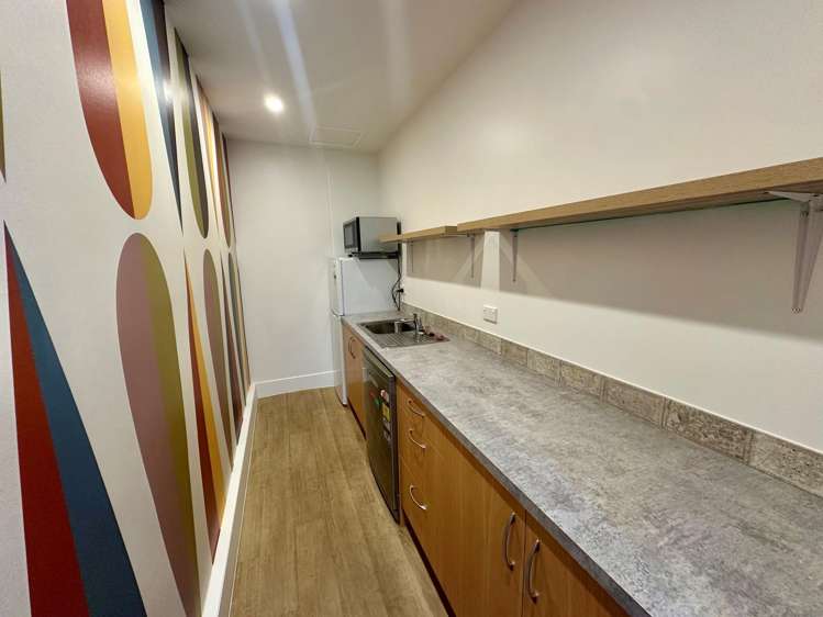 7 Windsor Street Parnell_8