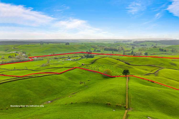 310 Matarawa Road Kinleith_21