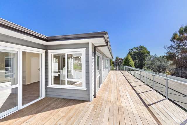 38a Elizabeth Street Tuakau_1