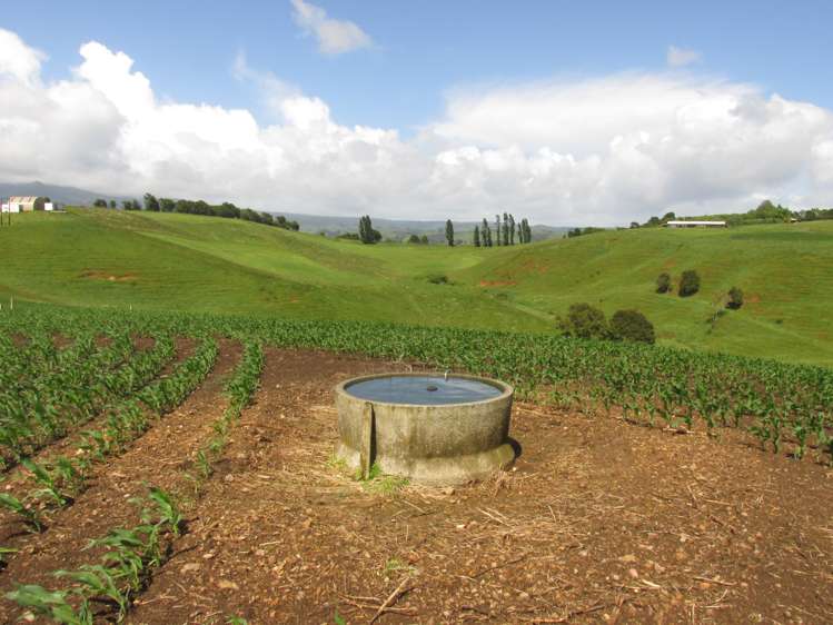 35 Grove Access Road Karamu_33