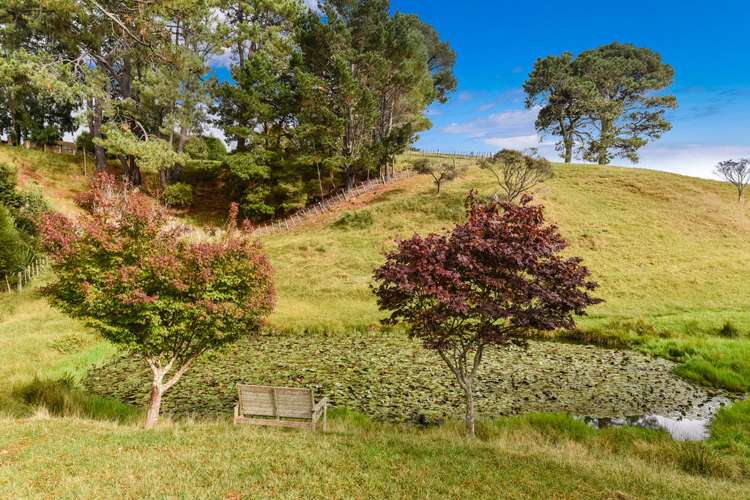 15 Brookdale Road Paremoremo_15