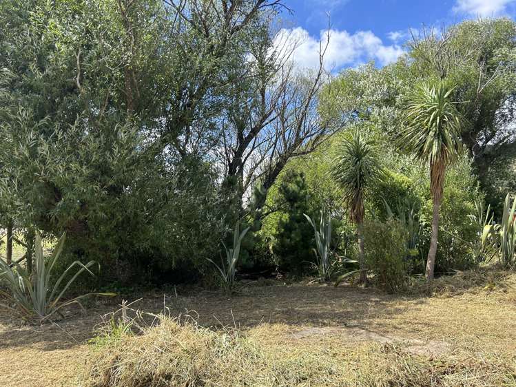 Castle Hill Road Eketahuna_8