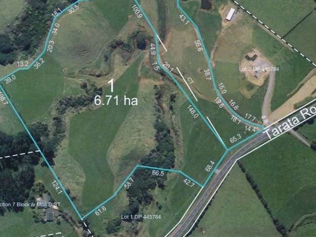 Tarata Road Inglewood_3