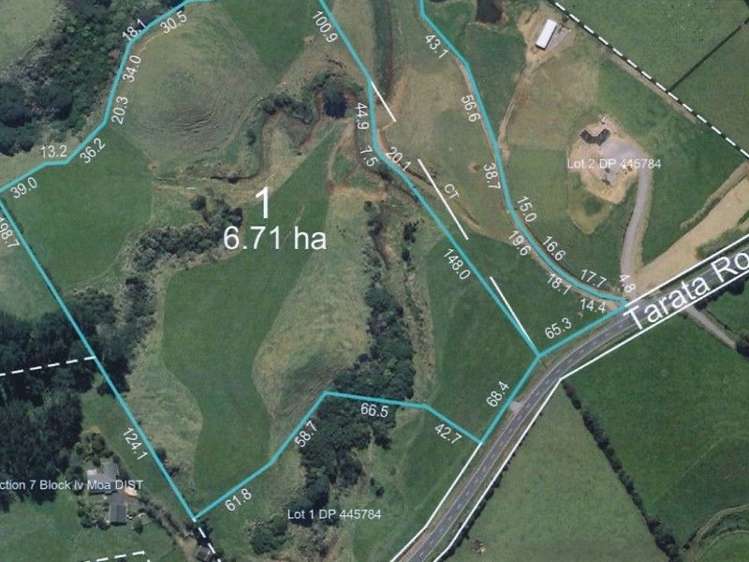 Tarata Road Inglewood_3